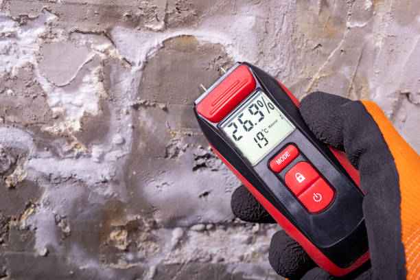 Best Health and Safety Mold Remediation in Dassel, MN